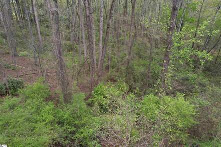 listing_266459419_image