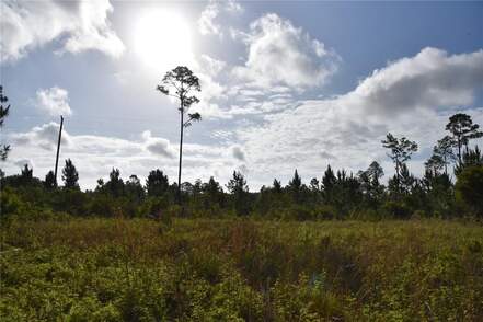 22370 Ne 130Th St,Unit 32134, Fort Mc Coy, FL 32134