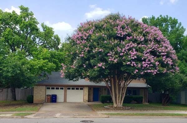 1504 Colony Creek Dr, Austin