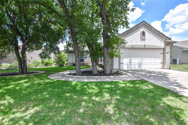 205 Monarch Trl, Georgetown